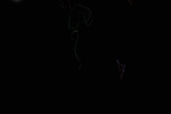 IMG_0611